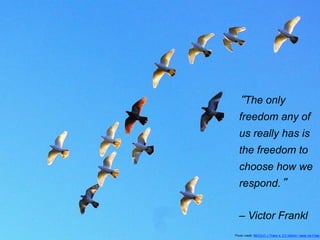 “The only
freedom any of
us really has is
the freedom to
choose how we
respond.”
– Victor Frankl
Photo credit: MICOLO J Thanx 4, 2.2 million+ views via Foter.
 