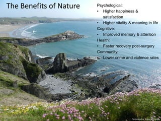 The Benefits of Nature Psychological:
• Higher happiness &
satisfaction
• Higher vitality & meaning in life
Cognitive:
• Improved memory & attention
Health:
• Faster recovery post-surgery
Community:
• Lower crime and violence rates
Pembrokeshire, Wales, D. Kopacz
 
