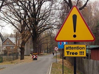 CABE Better Streets StudiesLiverpoolBristolDevizesManchesterBidefordDublinNewcastleNottinghamKensingtonHarlow