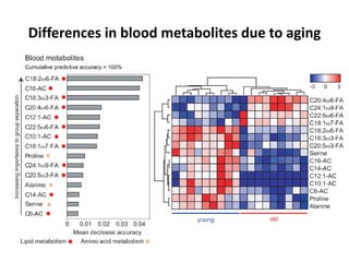 Differences in blood metabolites due to aging
 