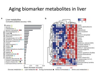 Aging biomarker metabolites in liver
 