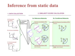 Inference from static data
1. DATA COLLECTION                                                                                                                                                                                         2. SIMILARITY SCORE CALCULATION


                                                                                                                                                     2a. Relevance Networks                                                                                                         2b. Conditioned Networks
A. Enzymatic
Variability                                                                                   ALL POSSIBLE
                                                                                                                                                                Pearson Correlation (PC)                                                                                            Partial Pearson Correlation (PPC)
                                                                                              PAIRWISE
          0.6


                                                                                              INTERACTIONS                                                      (linear)                                                                                                            (linear)
         0.55




                                                                                                                                                                                                                                                    F
          0.5




                                                                                                                                                                                                                                                                A               E              F
                                                                                                                                                                                                                                                                                                    A       E
         0.45                                                                                                                                              2


          0.4
                                                                                                                                                          1.5



                                                                                                                                                                                                                                                                        B
         0.35




                                                                                                                                                                                                                                                                                                        B
                                                                                                                                                           1
                    100   200   300   400   500       600   700   800   900   1000


                                                                                                                                                          0.5                               5
                                                                                                                                                                                                                                                        C                                       C
                                                                                                          2                                                0                                4




B. Intrinsic Variability
           1                                                                                             1.5



                                                                                                          1
                                                                                                                                                                      0.2         0.4
                                                                                                                                                                                            3
                                                                                                                                                                                                    0.6         0.8
                                                                                                                                                                                                                                                            D                                       D
                                                                                                                                                                                            2
         0.9
                                                                                                         0.5                                                                                1

                                                                                                               5
         0.8                                                                                              0                                                                                 0
                                                                                                                                                                                                0               1               2       3       4
                                                                                                               4
                                                                                                               0.2     0.4       0.6       0.8

         0.7
                                                                                                               3



         0.6                                                                                                   2



                                                                                                               1

         0.5
                                                                                                               0
                                                                                                                                                                                                                                                F
                                                                                                                                                                                                                                                            A               E
                                                                                                                   0         1         2         3    4


     0   0.4
          50                            100
                                                                                                                                                                 2



                                                                                                                                                                1.5
                                                                                                                                                                                                                                                                                                    F
                0               2                 4                6                 8                                                                                                                                                                              B                                   A       E
                                                                                                                                                                 1
                                                                                                                                                                                                                                                    C
                                                                                                                                                                0.5

                                                                                                                                                                                                                                                                                                            B
                                                                                                                                                                                        5



                                                                                                                                                                 0                      4
                                                                                                                                                                                                                                                                                                    C
                                                                                                                                                                                                                                                            D
C. Environmental
                                                                                                                                                                            0.2             0.4           0.6         0.8
                                                                                                                                                                                        3



                                                                                                                                                                                        2



Variability                                                                                                                                                                             1
                                                                                                                                                                                                                                                                                                        D
                                                                                                                                                                                        0
                                                                                                                                                                                            0               1               2       3       4



                                                                                                                                                                Mutual Information (MI)                                                                                             Conditional Mutual Information
                                                                                                                                                                (non-linear)                                                                                                        (CMI) (non-linear)

 0       50                                 100
           10                   20                    30                40               50
 