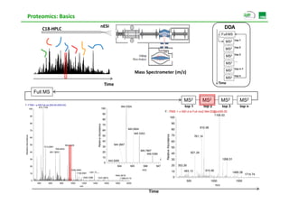 Proteomics: Basics
                                                                                                  nESI                                                                                                                         DDA
                                C18‐HPLC
                                                                                                                                                                                                                              Full MS
                                                                                                                                                                                                                                        top 1
                                                                                                                                                                                                                                MS2
                                                                                                                                                                                                                                        top 2
                                                                                                                                                                                                                                MS2
                                                                                                                                                                                                                                        top 3
                                                                                                                                                                                                                                          p
                                                                                                                                                                                                                                MS2
                                                                                                                                                                                                                                        ....
                                                                                                                                                                                                                                MS2
                                                                                                                                                                                                                                        top n-1
                                                                                                                                                                                                                                MS2
                                                                                                                                        Mass Spectrometer (m/z)
                                                                                                                                                                                                                                        top n
                                                                                                                                                                                                                                MS2
                                                                                                           Time                                                                                                           Time

                         Full MS
                                                                                                                                                                                              MS2            MS2              MS2              MS2
T: FTMS + p NSI Full ms [300.00-2000.00]
            472.7700                                                                                                       944.5324                                                           top 1             top 2         top 3            top n
    100                                                                                                  100
                                                                                                                                                               F: ITMS + c NSI d w Full ms2 944.53@cid35.00
                                                                                                         90                                                                                       1108.53
                    90
                                                                                                                                                                   100
                                                                                                         80
                    80                                                                                                                                                               90
                                                                                   Relative Abundanc e




                                                                                                         70
                                                                                                                                945.0824
                                                                                                                                                                                                            810.08
                    70                                                                                   60                                                                          80
                                                                                                                                      945.5353




                                                                                                                                                                Relative Abundance
                                                                                                         50                                                                          70
Relativ Abundance




                    60
                                                                                                                                                                                                       761.14
                                                                                                         40                                                                          60
                    50                              944.5325                                                       944.2667
                                513.2991                                                                 30                                                                          50
      ve




                                                                                                                                                                         A
                                         769.4453
                                         769 4453
                                                                                                                                           945.7967
                    40              691.3953                                                             20                                                                                        621.24
                                                                                                                                                946.5384                             40
                                                                                                         10
                    30                                                                                                                                     9                         30                                       1266.51
                                                                                                               943.5265
                                                                                                          0
                    20                                                                                               944          945       946       947                            20   353.26
                                                        1046.2464                                                                           m/z                                               493.13
                                                                                                                                                                                              493 13             915.90
                                                                         1381.7826                                                                                                   10                                               1469.38
                                                                                                                                                                                                                                      1469 38
                    10                                       1106.5581
                                                                                                                   1844.3618                                                                                                                      1714.74
                                                                  1306.7396        1537.8872                            1890.9115                                                    0
                     0                                                                                                                                                                         500                   1000                1500
                          400      600      800         1000    1200        1400                           1600     1800       2000
                                                               m/z                                                                                                                                                      m/z

                                                                                                                                                  Time
 