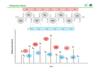 Proteomics: Basics



                                     Ser                         Ile                       Val                      Lys

                        Gly                      Val                           Met                      Glu




                                                                           y5
                                                                   Ile
                dance




                                                            y4
  Rellative Abund




                                                Met
                                      y3                                             Val                      y7
                                           b3                                                     Ser

                         y2    Val
                                                                  b4                       y6
                                                      Ile

                              b2
                                                                         Met         b5
                                     Val
                                                                                            Ser               Glu
                                                                                                                     b7
                                                                                                  b6


                                                                          m/z
 