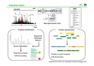 Proteomics: Basics
                                              nESI                                                   DDA
                      C18‐HPLC
                                                                                                   Full MS
                                                                                                             top 1
                                                                                                     MS2
                                                                                                             top 2
                                                                                                     MS2
                                                                                                             top 3
                                                                                                               p
                                                                                                     MS2
                                                                                                             ....
                                                                                                     MS2
                                                                                                             top n-1
                                                                                                     MS2
                                                           Mass Spectrometer (m/z)
                                                                                                             top n
                                                                                                     MS2
                                                Time                                              Time

                           Peptide identification                              Protein identification
 Relative Abundance




                                                Sequence
                                                Database
                                                 Search
 R




                                 m/z

                      Score Calculation


                      Target-Decoy-based
                                                                     Peptide to protein mapping
                       FDR thresholding
                           th h ldi
                                                                     FDR thresholding

                                                                 Adapted from Hein et al, Handbook of System biology 2013
 