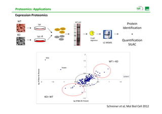 Proteomics: Applications
Expression Proteomics
 WT                                                                                 WT+KO
               Lys                                                                                                                                 Protein 
                                                                                                                                                Identification 
                                                             PINK1 KO

 KO                                                                                                                                                        + 
              Lys +8
                                                                                                              In‐gel 
                                                                                                              digestion                         Quantification 
                                                                                                                            LC‐MSMS
                                                                                                                                                   SILAC

                                                                                                    2

                                                BSA
                                                                                                  1.5
                                                                                                                                WT > KO

                                                                        Keratin                     1
                                     se
               log 10 Ratio H/L Revers




                                                                                                  0.5

                                                                                                                                                  Serie1

                                                                                                    0
                                          -2          -1.5                -1       -0.5                  0            0.5       1         1.5
                 g




                                                                                                  -0.5



                                                                                                   -1


                                               KO> WT                                             -1.5
                                                                                  log 10 Ratio H/L Forw ard



                                                                                                                              Schreiner et al, Mol Biol Cell 2012
 