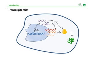 Introduction

Transcriptomics
 