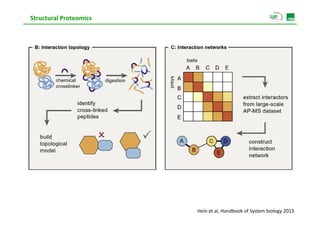Structural Proteomics




                        Hein et al, Handbook of System biology 2013
 
