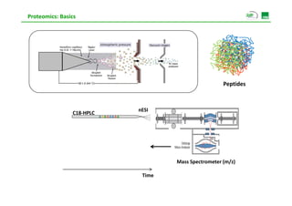 Proteomics: Basics




                            Fractionation              Fractionation
                            Enrichment                 Enrichment



       Cells/Tissue                         Proteins                       Peptides



                                            nESI
                 C18‐HPLC




                                                         Mass Spectrometer (m/z)

                                             Time
 