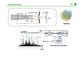 Proteomics: Basics




                            Fractionation              Fractionation
                            Enrichment                 Enrichment



       Cells/Tissue                         Proteins                       Peptides



                                            nESI
                 C18‐HPLC




                                                         Mass Spectrometer (m/z)

                                              Time
 