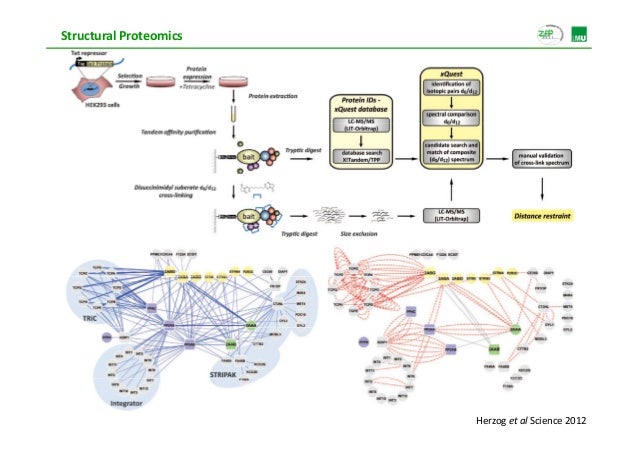 Proteomics analysis: Basics and Applications
