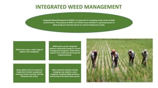 INTEGRATED WEED MANAGEMENT
Integrated Weed Management (IWM) is an approach to managing weeds using multiple
control tactics. The purpose of IWM is to include many methods in a growing season to
allow producers the best chance to control troublesome weeds.
IWM tactics span a wide range of
options and complexity.
IWM tactics can be integrated
without substantial change to current
management programs, while others
require more extensive planning and
implementation.
Some options that are easier to
implement include: equipment
cleaning, timely scouting, altering
herbicide tank mixes;
More extensive options include
changing crop rotation, cover
cropping, changing tillage practices,
and harvest time weed seed control.
 