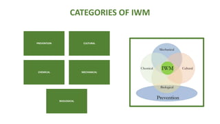 CATEGORIES OF IWM
PREVENTION CULTURAL
CHEMICAL MECHANICAL
BIIOLOGICAL
 
