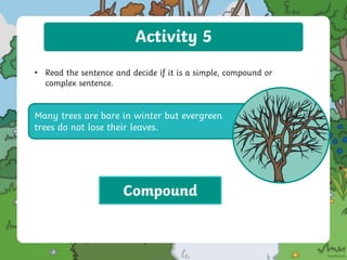 Activity 5
• Read the sentence and decide if it is a simple, compound or
complex sentence.
Many trees are bare in winter but evergreen
trees do not lose their leaves.
Compound
 