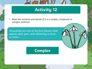 Activity 12
• Read the sentence and decide if it is a simple, compound or
complex sentence.
Snowdrops are one of the first flowers that
appear each year, even blooming in frost
or snow.
Complex
 
