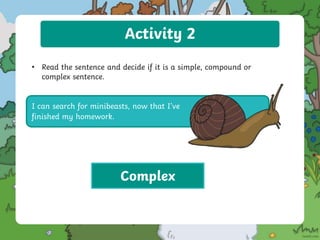 Activity 2
• Read the sentence and decide if it is a simple, compound or
complex sentence.
I can search for minibeasts, now that I’ve
finished my homework.
Complex
 