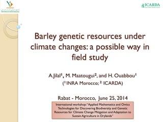 Barley genetic resources under
climate changes: a possible way in
field study
A.Jilal1, M. Maatougui2, and H. Ouabbou1
(1:INRA Morocco; 2: ICARDA)
Rabat - Morocco, June 25, 2014
International workshop:“Applied Mathematics and Omics
Technologies for Discovering Biodiversity and Genetic
Resources for Climate Change Mitigation and Adaptation to
Sustain Agriculture in Drylands”
 