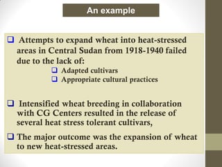  Attempts to expand wheat into heat-stressed
areas in Central Sudan from 1918-1940 failed
due to the lack of:
 Adapted cultivars
 Appropriate cultural practices
 Intensified wheat breeding in collaboration
with CG Centers resulted in the release of
several heat stress tolerant cultivars,
 The major outcome was the expansion of wheat
to new heat-stressed areas.
An example
 