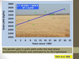 The genetic gain in grain yield under the heat stress
environment of Sudan was estimated to be 30.2 kg/ha/year
Tahir et al. 2000
 