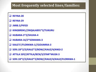  REYNA-28
 REYNA-29
 JNRB.5/PIFED
 KINGBRD#1//INQALAB91*2/TUKURU
 HUBARA-3*2/SHUHA-4
 HUBARA-16/2*SOMAMA-3
 KAUZ'S'/FLORKWA-1//GOUMRIA-3
 SERI.1B*2/3/KAUZ*2/BOW//KAUZ/4/ANGI-2
 ATTILA 50Y//ATTILA/BCN/3/STAR*MUSK-3
 SERI.1B*2/3/KAUZ*2/BOW//KAUZ/4/KAUZ/FLORKWA-1
Most frequently selected lines/families:
 