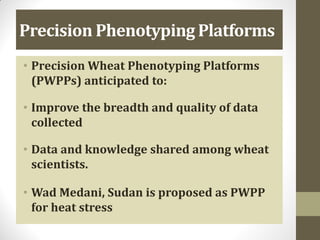 Precision Phenotyping Platforms
• Precision Wheat Phenotyping Platforms
(PWPPs) anticipated to:
• Improve the breadth and quality of data
collected
• Data and knowledge shared among wheat
scientists.
• Wad Medani, Sudan is proposed as PWPP
for heat stress
 