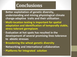 Conclusions
• Better exploitation of genetic diversity,
understanding and mining physiological climate
change-adaptive traits and their utilization .
• Multi-location testing is important for spatial
adaptation and identification of temporally stable,
stress tolerant germplasm
• Evaluation at hot spots has resulted in the
development of several promising lines tolerance
to abiotic stresses
• Broadening the wheat genetic diversity
• Networking and international collaboration
• Platforms for Integrated solution
 