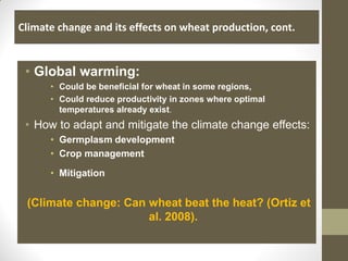 Climate change and its effects on wheat production, cont.
• Global warming:
• Could be beneficial for wheat in some regions,
• Could reduce productivity in zones where optimal
temperatures already exist.
• How to adapt and mitigate the climate change effects:
• Germplasm development
• Crop management
• Mitigation
(Climate change: Can wheat beat the heat? (Ortiz et
al. 2008).
 