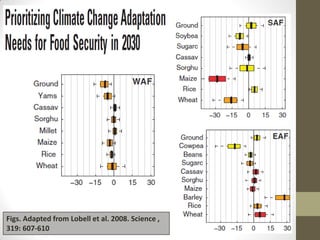 Figs. Adapted from Lobell et al. 2008. Science ,
319: 607-610
 