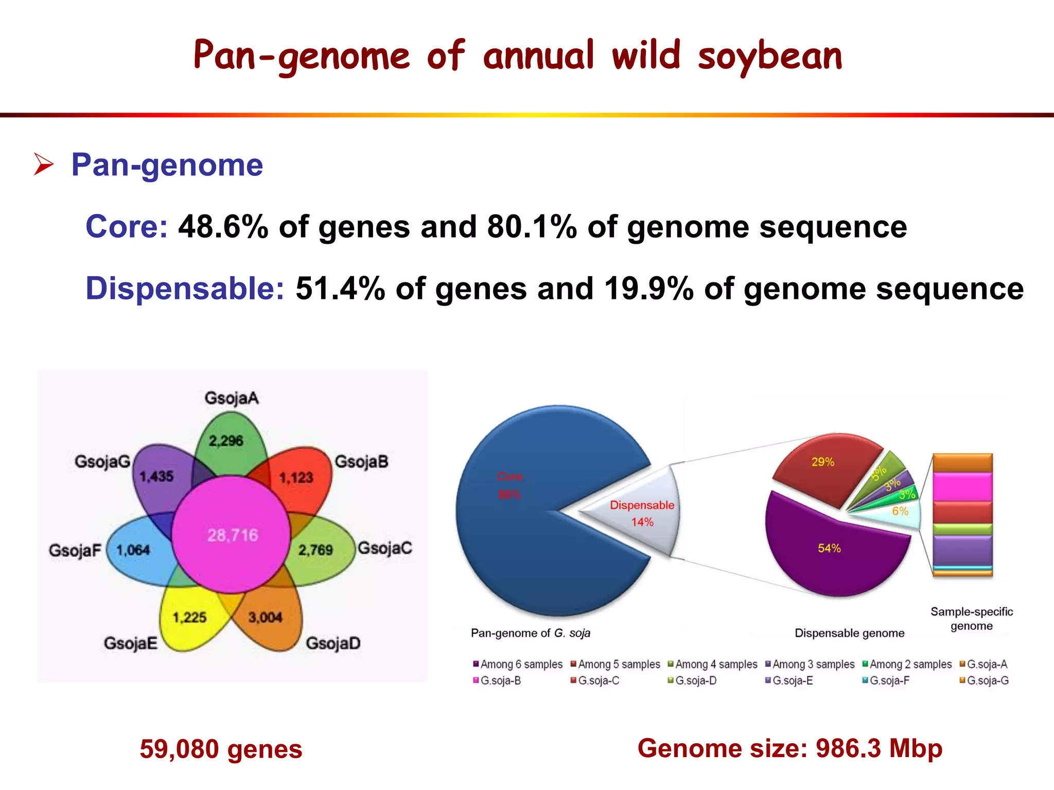  Pan-genome
Core: 48.6% of genes and 80.1% of genome sequence
Dispensable: 51.4% of genes and 19.9% of genome sequence
59,080 genes Genome size: 986.3 Mbp
Pan-genome of annual wild soybean
 