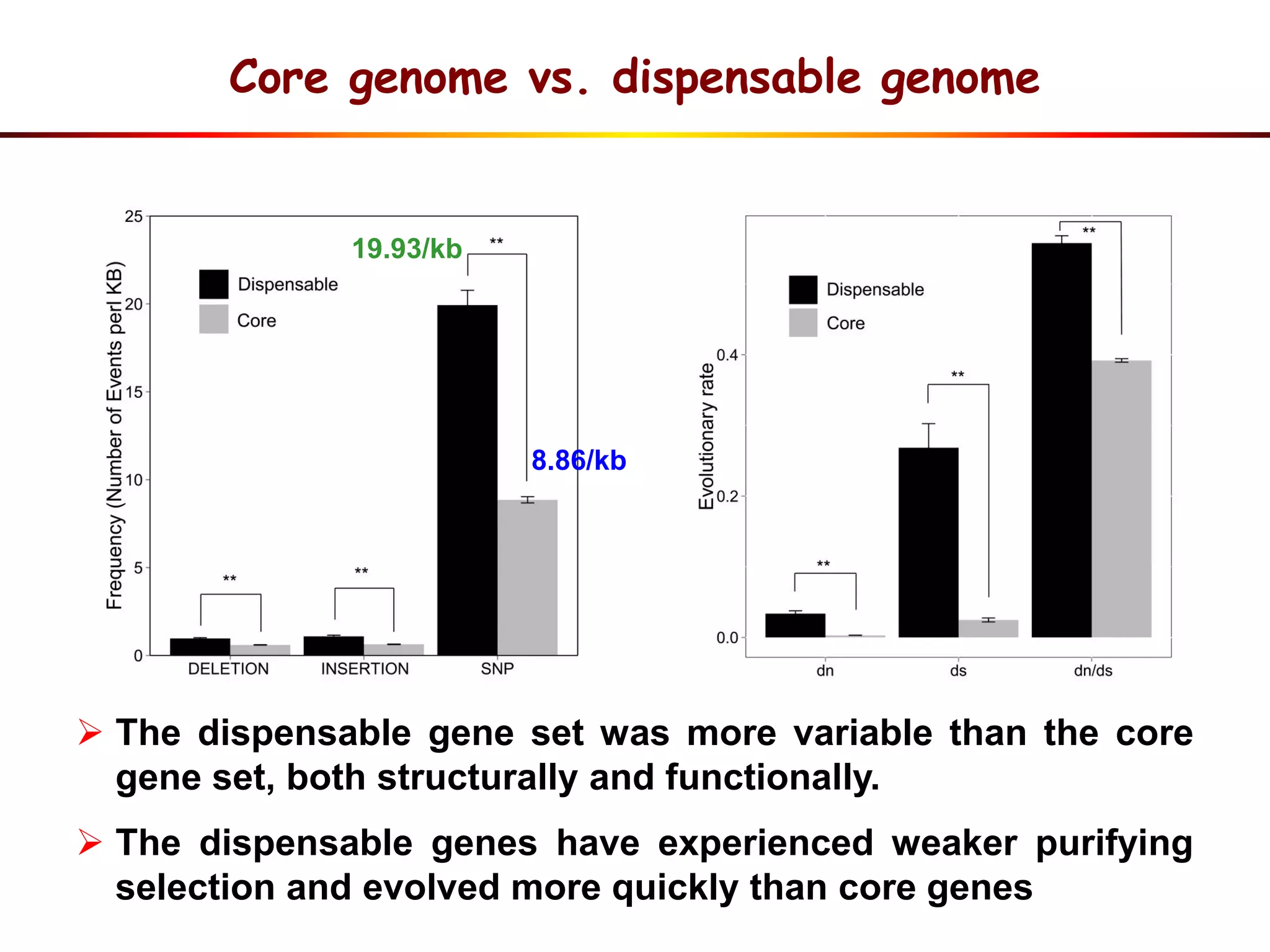 8.86/kb
19.93/kb
 The dispensable gene set was more variable than the core
gene set, both structurally and functionally.
 The dispensable genes have experienced weaker purifying
selection and evolved more quickly than core genes
Core genome vs. dispensable genome
 