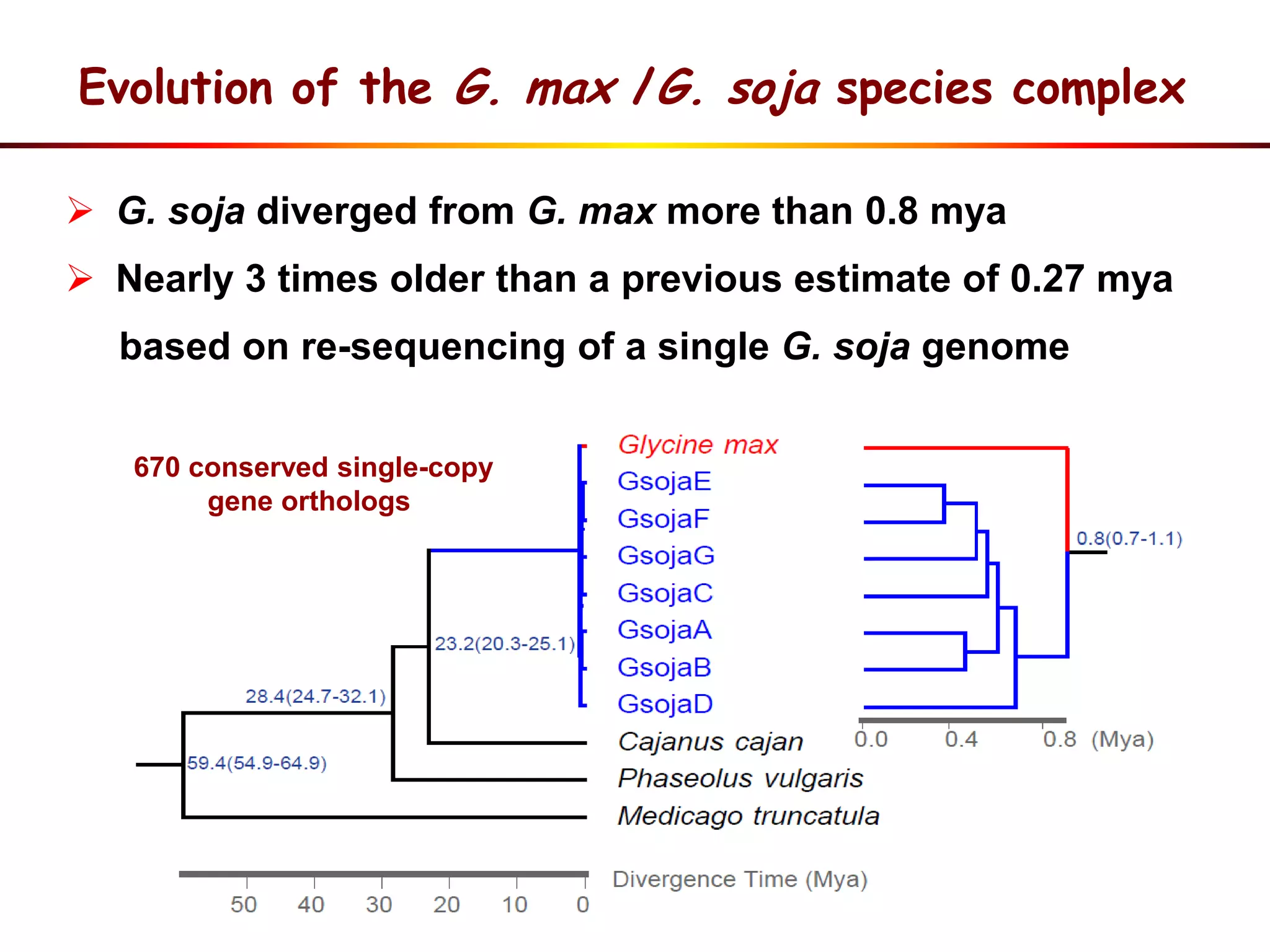 Evolution of the G. max /G. soja species complex
 G. soja diverged from G. max more than 0.8 mya
 Nearly 3 times older than a previous estimate of 0.27 mya
based on re-sequencing of a single G. soja genome
670 conserved single-copy
gene orthologs
 