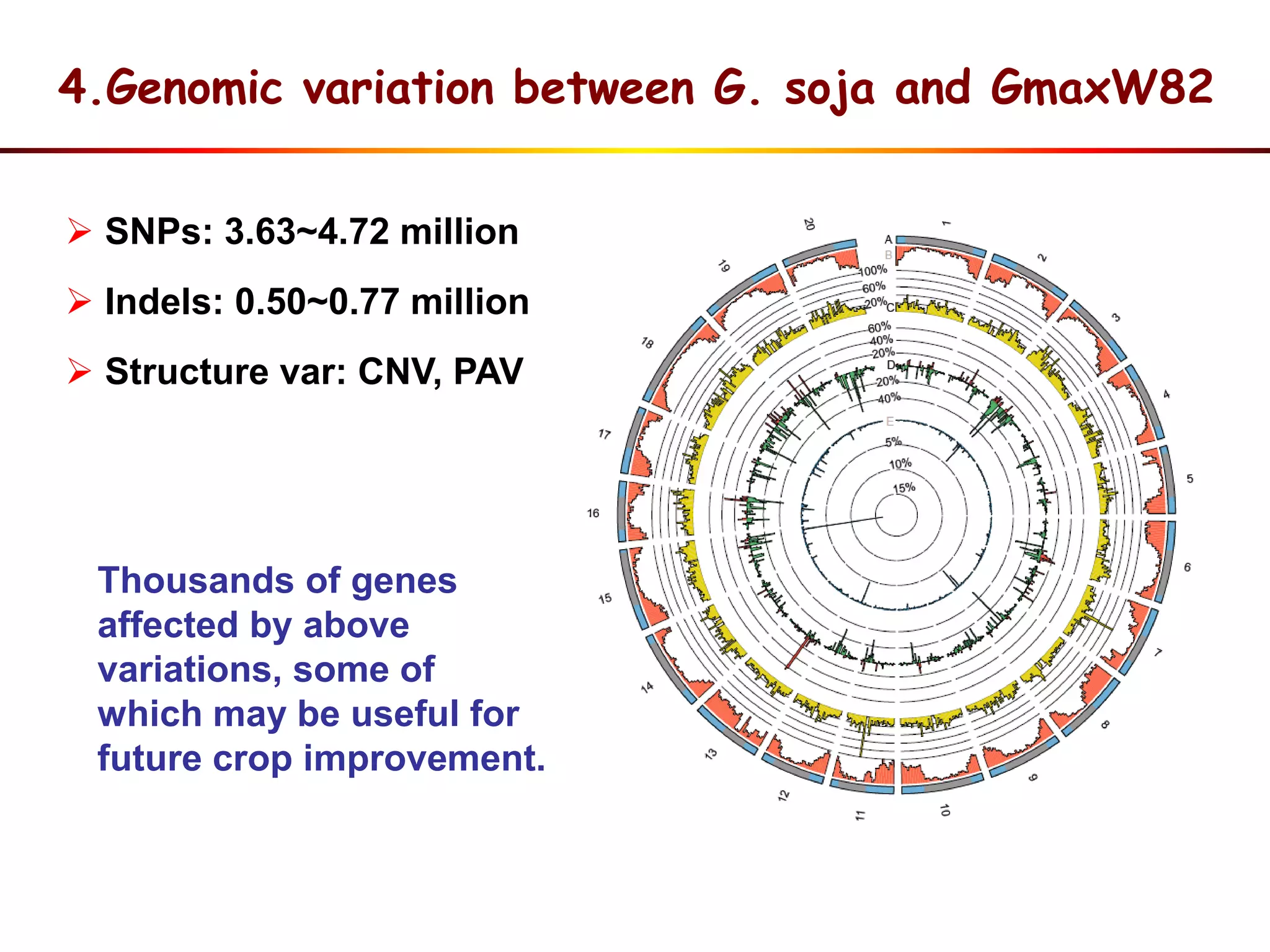 4.Genomic variation between G. soja and GmaxW82
 SNPs: 3.63~4.72 million
 Indels: 0.50~0.77 million
 Structure var: CNV, PAV
Thousands of genes
affected by above
variations, some of
which may be useful for
future crop improvement.
 