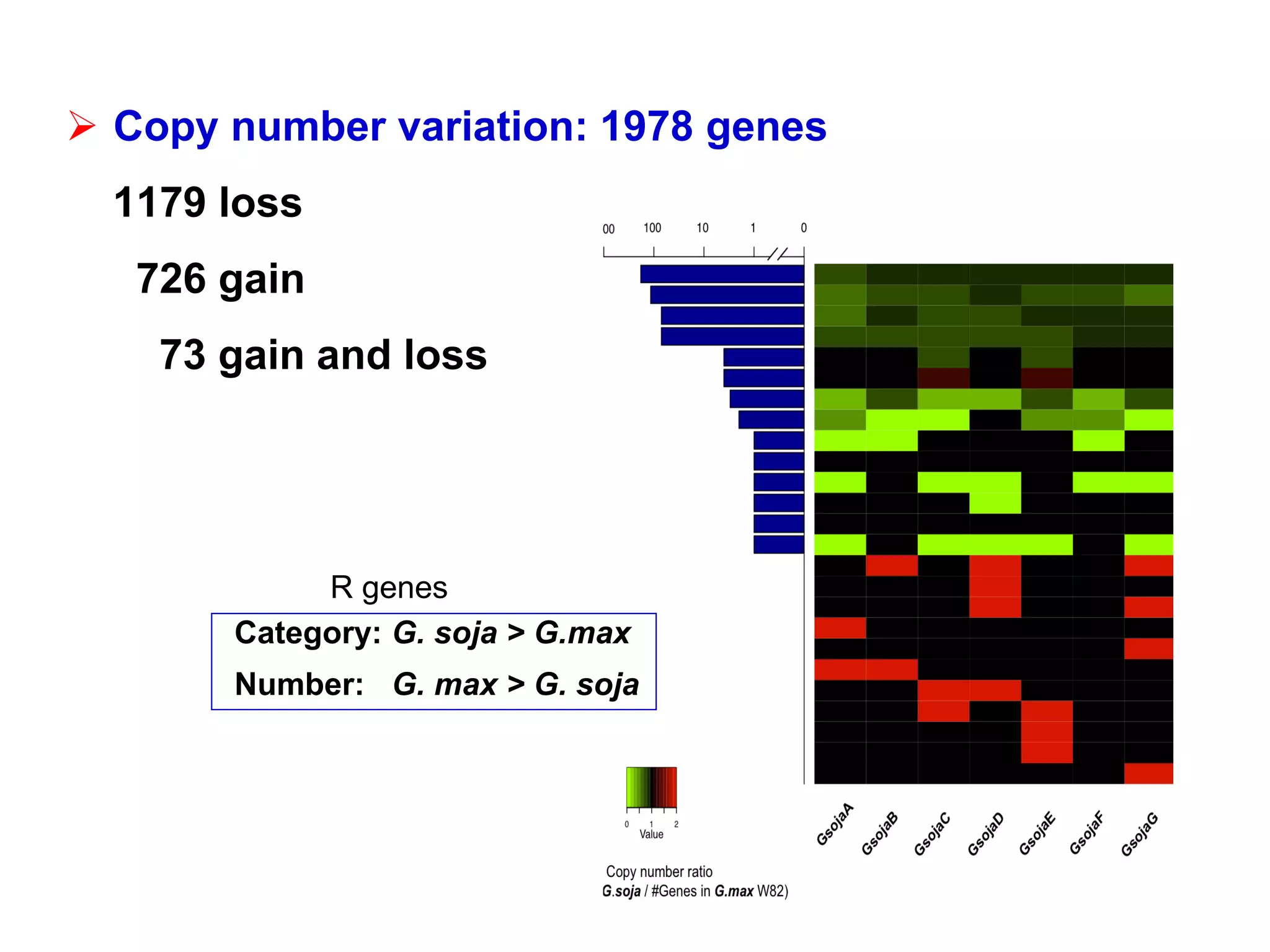  Copy number variation: 1978 genes
1179 loss
726 gain
73 gain and loss
Category: G. soja > G.max
Number: G. max > G. soja
R genes
 