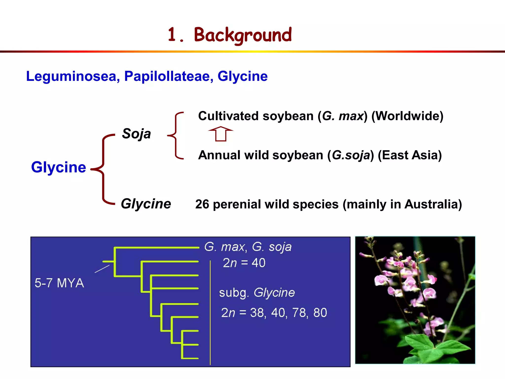 Glycine
Soja
Glycine 26 perenial wild species (mainly in Australia)
Annual wild soybean (G.soja) (East Asia)
Cultivated soybean (G. max) (Worldwide)
Leguminosea, Papilollateae, Glycine
1. Background
 
