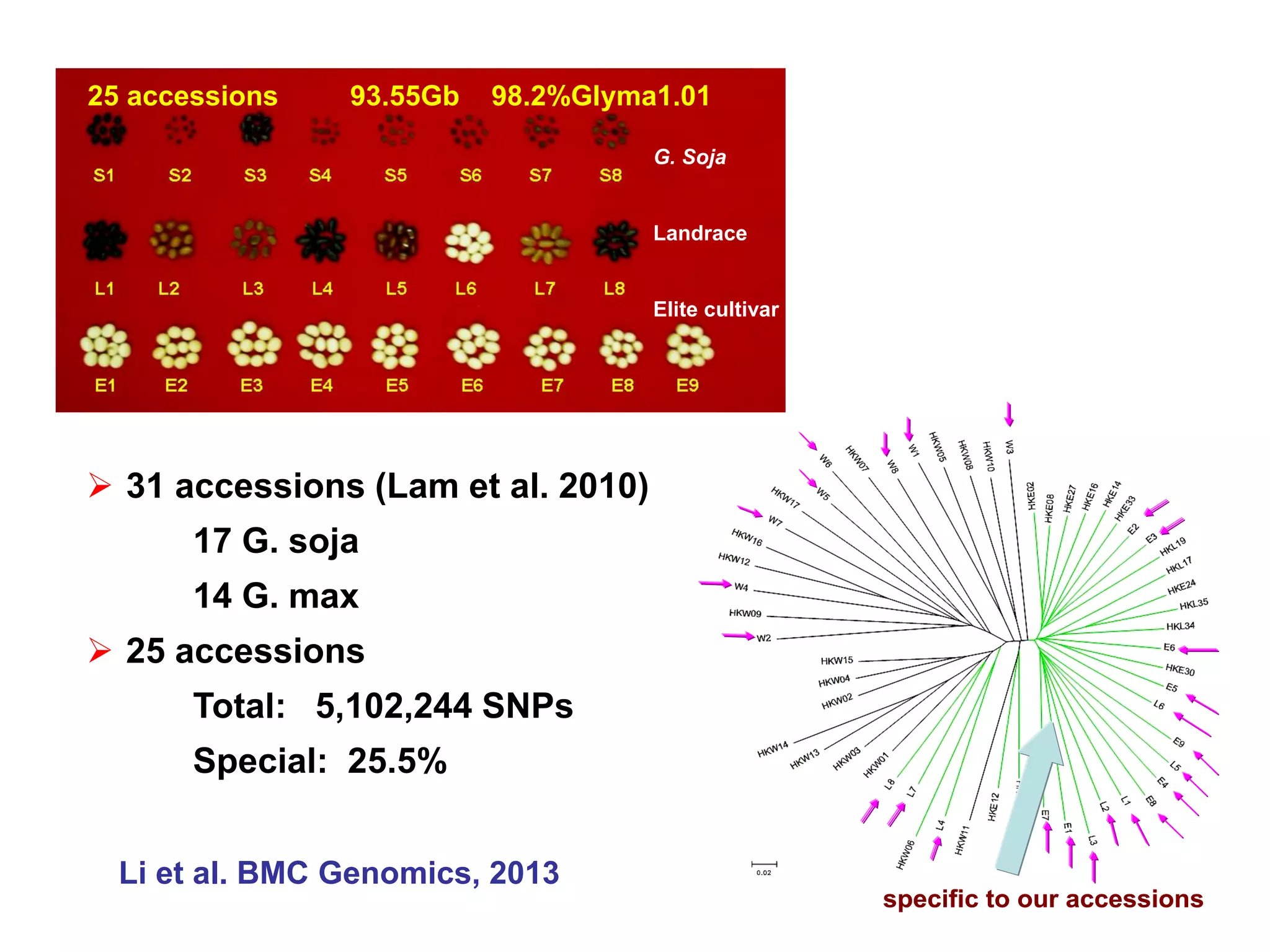 G. Soja
Landrace
Elite cultivar
25 accessions 93.55Gb 98.2%Glyma1.01
 31 accessions (Lam et al. 2010)
17 G. soja
14 G. max
 25 accessions
Total: 5,102,244 SNPs
Special: 25.5%
specific to our accessionsspecific to our accessions
Li et al. BMC Genomics, 2013
 