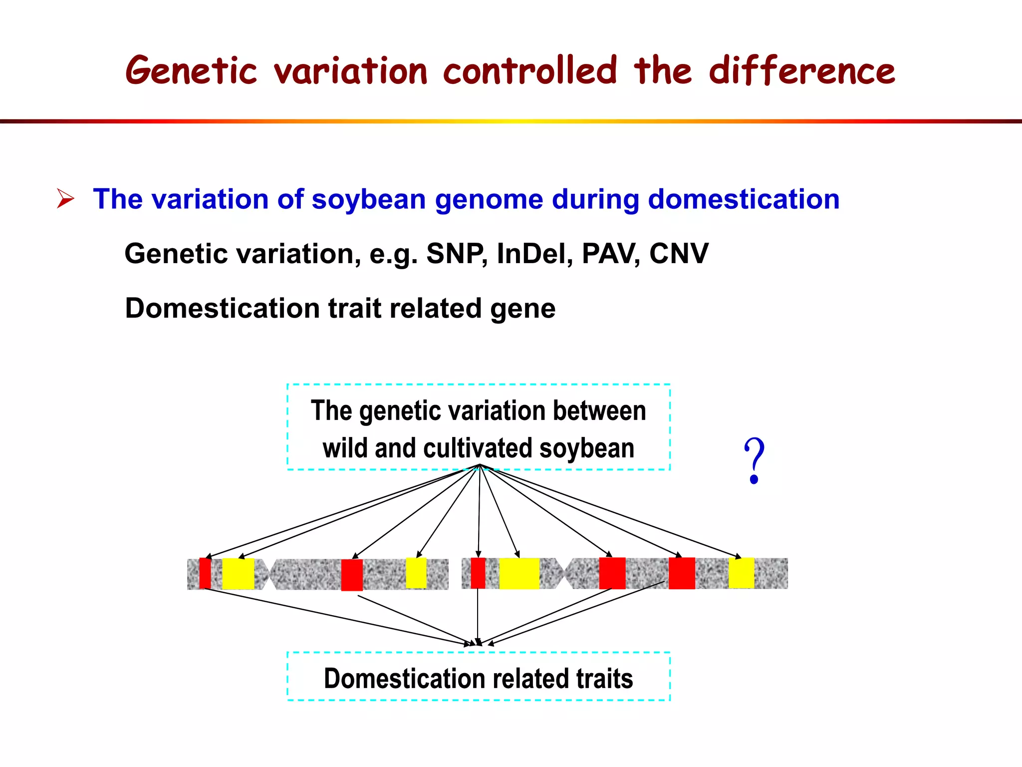 Genetic variation controlled the difference
 The variation of soybean genome during domestication
Genetic variation, e.g. SNP, InDel, PAV, CNV
Domestication trait related gene
The genetic variation between
wild and cultivated soybean
？
Domestication related traits
The genetic variation between
wild and cultivated soybean
？
Domestication related traits
 