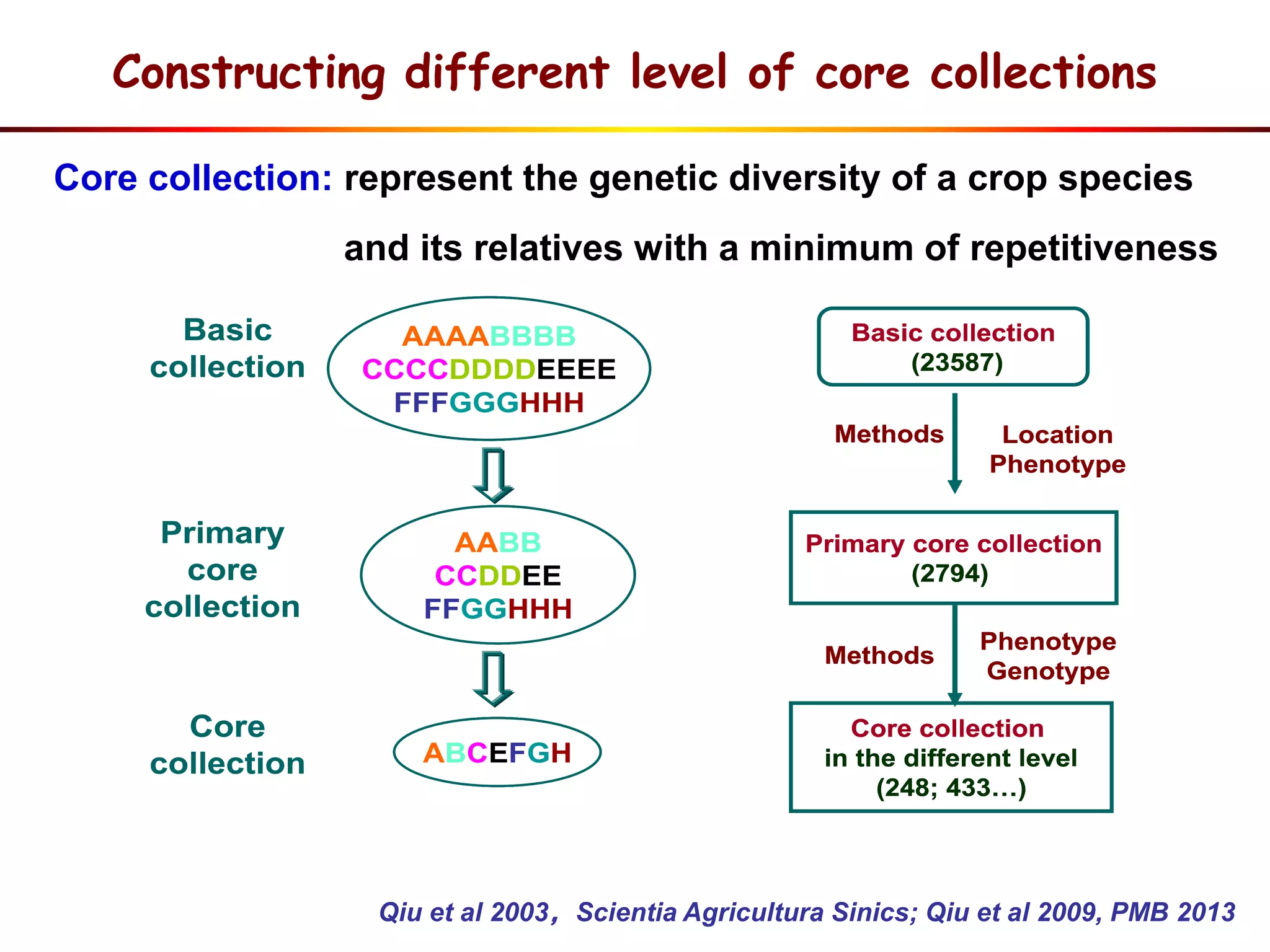 Constructing different level of core collections
Qiu et al 2003，Scientia Agricultura Sinics; Qiu et al 2009, PMB 2013
Core collection: represent the genetic diversity of a crop species
and its relatives with a minimum of repetitiveness
Primary
core
collection
Basic
collection
Core
collection
AAAABBBB
CCCCDDDDEEEE
FFFGGGHHH
AABB
CCDDEE
FFGGHHH
ABCEFGH
Primary core collection
(2794)
Basic collection
(23587)
Location
Phenotype
Phenotype
Genotype
Core collection
in the different level
(248; 433…)
Methods
Methods
Primary
core
collection
Basic
collection
Core
collection
AAAABBBB
CCCCDDDDEEEE
FFFGGGHHH
AABB
CCDDEE
FFGGHHH
ABCEFGH
AAAABBBB
CCCCDDDDEEEE
FFFGGGHHH
AABB
CCDDEE
FFGGHHH
ABCEFGH
Primary core collection
(2794)
Basic collection
(23587)
Location
Phenotype
Phenotype
Genotype
Core collection
in the different level
(248; 433…)
Methods
Methods
Primary core collection
(2794)
Basic collection
(23587)
Location
Phenotype
Phenotype
Genotype
Core collection
in the different level
(248; 433…)
Methods
Methods
 