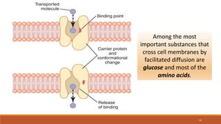 Day 3-BODY FLUID COMPARTMENTS.pptx