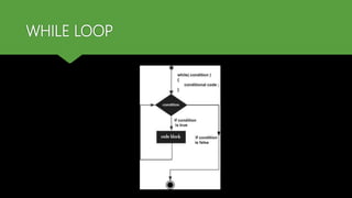 WHILE LOOP
 