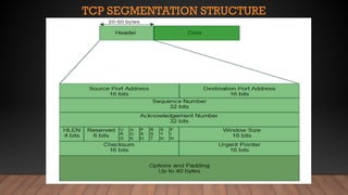 TCP SEGMENTATION STRUCTURE
 