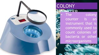 DAY 3 AND 4 INTRODUCTION TO MICROBIOLOGY.pptx