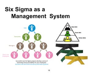 16
Six Sigma as a
Management System
 