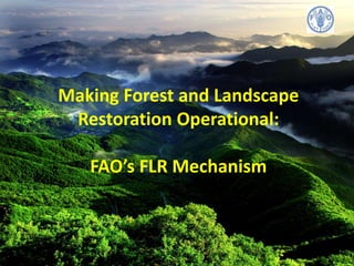 Making Forest and Landscape
Restoration Operational:
FAO’s FLR Mechanism
 