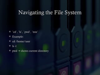 Navigating the File System
 `cd`, `ls`, `pwd`, `tree`
 Example:
 cd /home/user
 ls -l
 pwd shows current directory
→
 