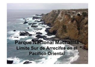 Parque Nacional Machalilla
Limite Sur de Arrecifes en el
Pacífico Oriental
 