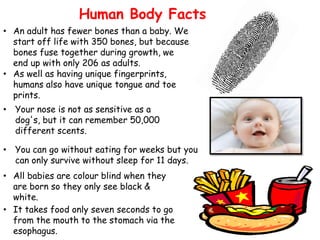 Human Body Facts
• An adult has fewer bones than a baby. We
start off life with 350 bones, but because
bones fuse together during growth, we
end up with only 206 as adults.
• As well as having unique fingerprints,
humans also have unique tongue and toe
prints.

• Your nose is not as sensitive as a
dog's, but it can remember 50,000
different scents.
• You can go without eating for weeks but you
can only survive without sleep for 11 days.
• All babies are colour blind when they
are born so they only see black &
white.
• It takes food only seven seconds to go
from the mouth to the stomach via the
esophagus.

 