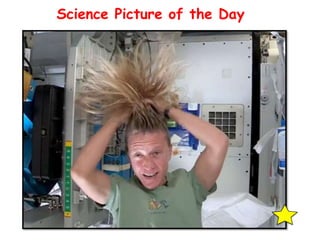 Science Picture of the Day

 