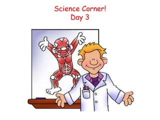 Science Corner!
Day 3

 