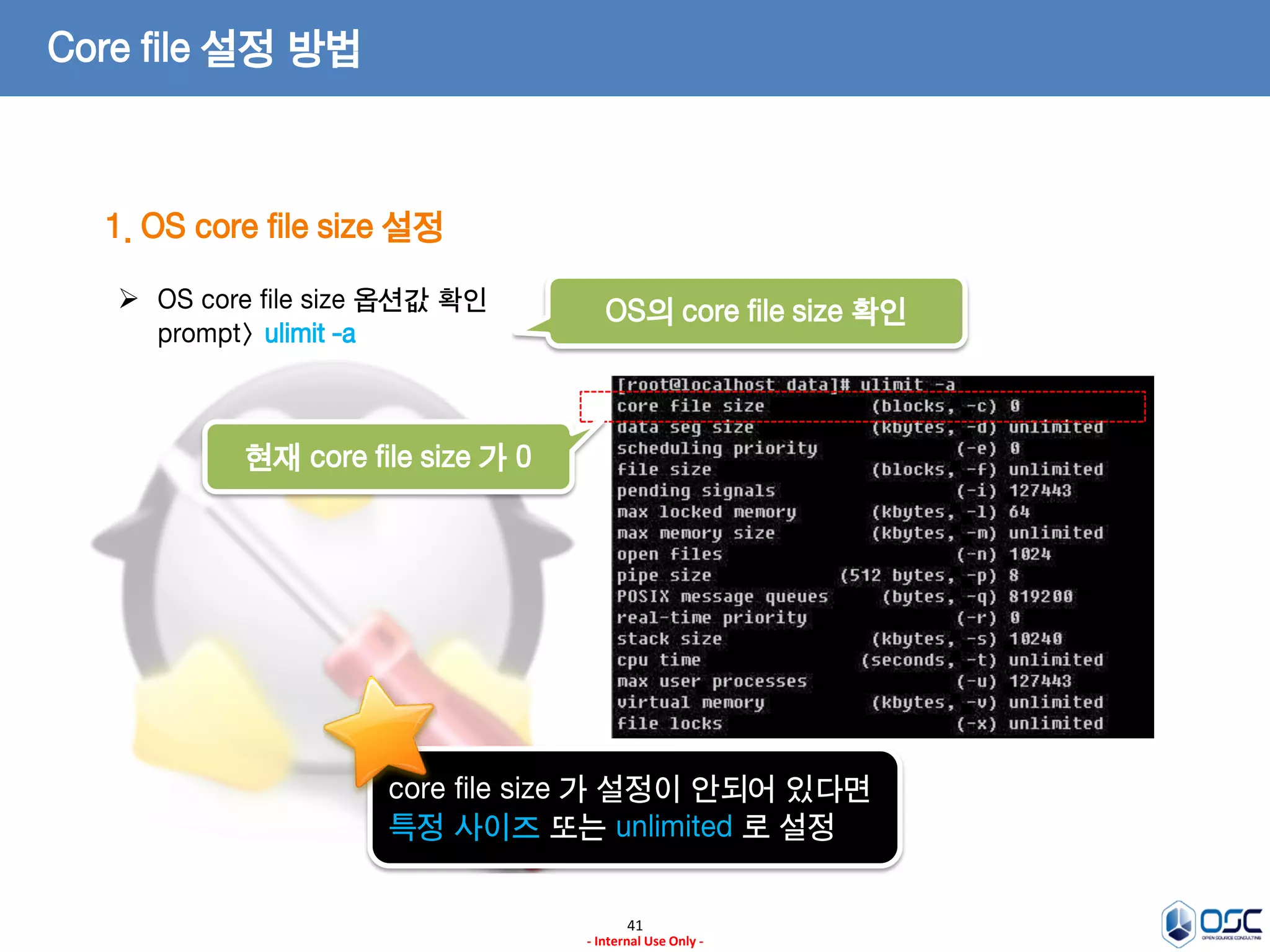41 
- Internal Use Only - 
Core file 설정 방법 
1. OS core file size 설정 
OS의 core file size 확인 
core file size 가 설정이 안되어 있다면 
특정 사이즈 또는 unlimited 로 설정 
현재 core file size 가 0 
OS core file size 옵션값 확인 prompt> ulimit -a  