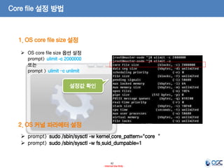 42 
- Internal Use Only - 
Core file 설정 방법 
1. OS core file size 설정 
OS core file size 옵션 설정 prompt> ulimit -c 2000000 또는 prompt > ulimit –c unlimit 
prompt> sudo /sbin/sysctl -w kernel.core_pattern="core“ 
prompt> sudo /sbin/sysctl -w fs.suid_dumpable=1 
2. OS 커널 파라메터 설정 
설정값 확인  